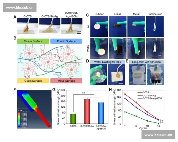 《掌握自媒体运营秘诀从零到一的全流程实战指南》